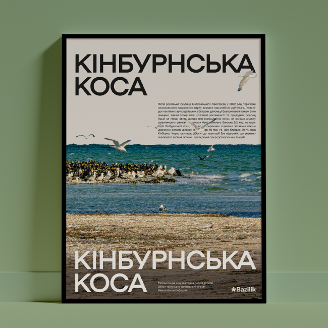 Постер «Кінбурнська Коса» від дизайнерки Каті Карпенко