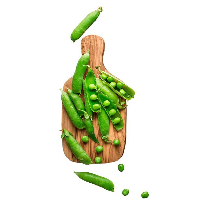 Лекція "IT: із чого починати."